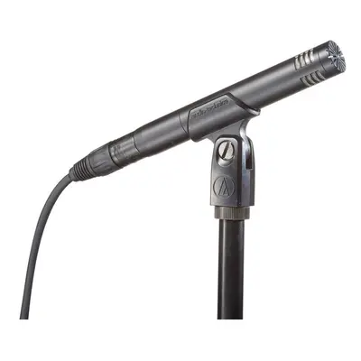 Audio Technica AT2031 Condenser Microphone