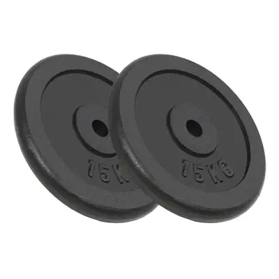 vidaXL 2x Weight Plates 2x15 kg Cast Iron Fitness Gym for Dumbbell Lifting Bars