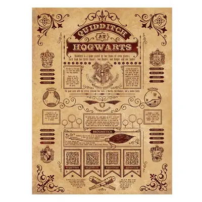 Harry Potter Quidditch Canvas Print