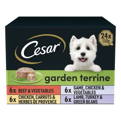 24 x 150g Cesar Garden Terrine Adult Wet Dog Food Trays Mixed Selection in Loaf