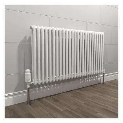 Nes Home X mm White Double Traditional Radiator