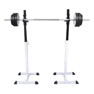 vidaXL Squat Barbell Rack Set Gym Weight Training Exercise 80kg Levels