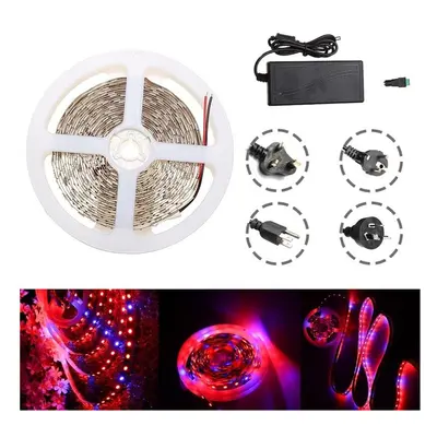 (EU Plug) Waterproof 5M Red:Blue 5:1 SMD5050 Full Spectrum LED Strip Grow Plant Light + Power Su