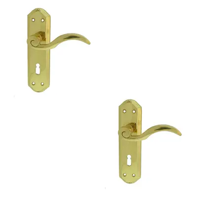 2x PAIR Spiral Sculpted Handle on Lock Backplate x 48mm Polished Brass