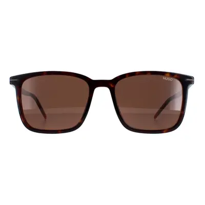 Hugo by Hugo Boss Sunglasses HG1168/S 086/70 Dark Havana Brown