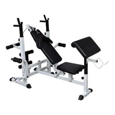 vidaXL Weight Multi Bench Universal Gym Exercise Training Fitness Station