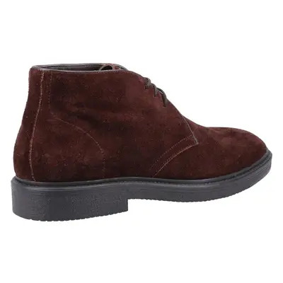 Cotswold Bradford Suede Shoe Brown