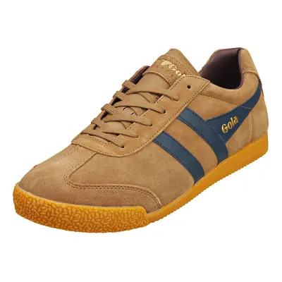 (7) Gola Harrier Mens Casual Trainers in Tabacco Navy