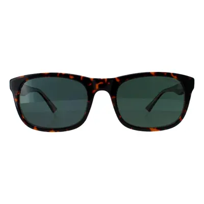 Polaroid Sunglasses PLD 2104/S/X KRZ/UC Havana Green Polarized