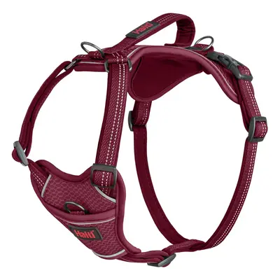 (L, Magenta) Halti Anatomy Dog Harness