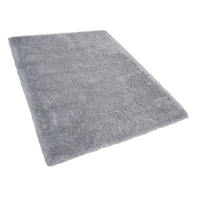 Shaggy Area Rug x cm Grey CIDE