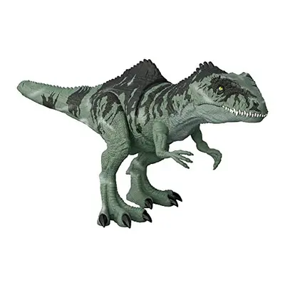 Jurassic World Dominion Dinosaur Toy, Strike N Roar Giganotosaurus, Action Figure with Striking 