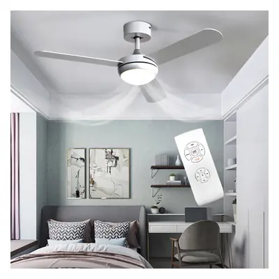 Modern Acrylic Three-blade Ceiling Fan Light with Remote Control