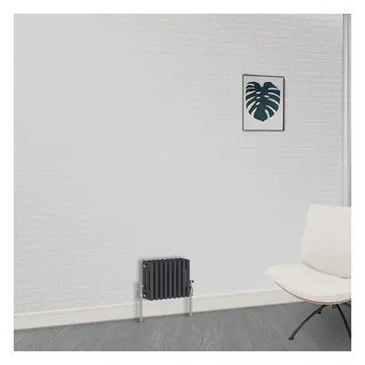 (300 x 425mm-3 Column) NRG Traditional Anthracite Cast Iron Style Radiator