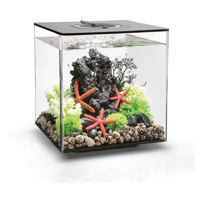 biOrb CUBE Aquarium 30L Black with MCR LED Lighting