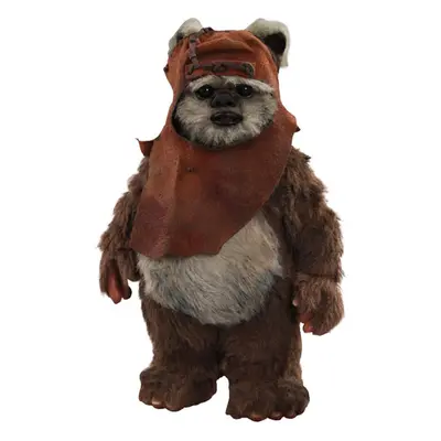 Official Star Wars Wicket 1:6 Scale Figure