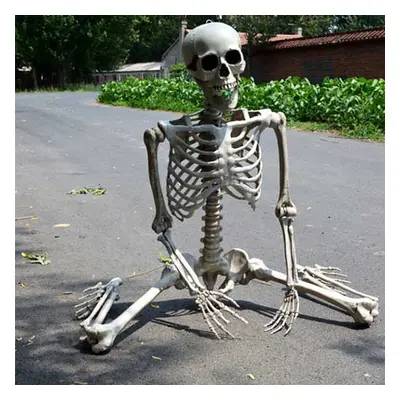 (160cm) Full Size Poseable Human Prop Skeleton Party Haunted House Decorations Halloween