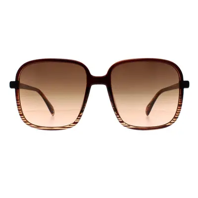 Guess Sunglasses GF6146 45F Brown Brown Gradient