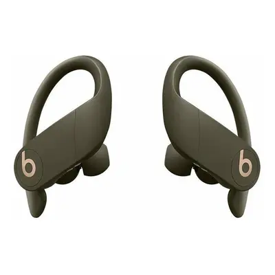 Beats Powerbeats Pro Moss In-Ear Wireless Earphones