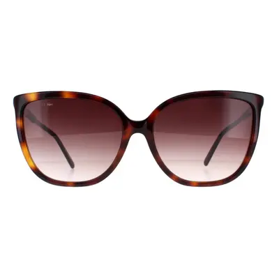 Lacoste Sunglasses L963S Havana Brown Gradient