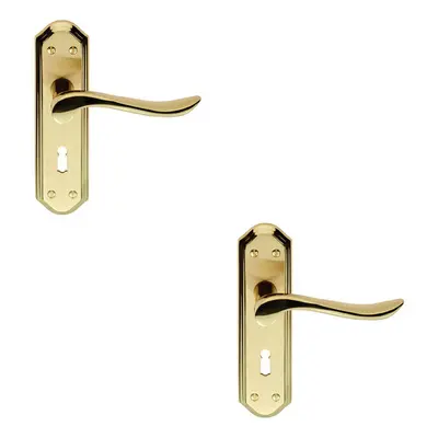 2x PAIR Curved Lever on Sculpted Edge Backplate x 48mm Satin/Polished Brass