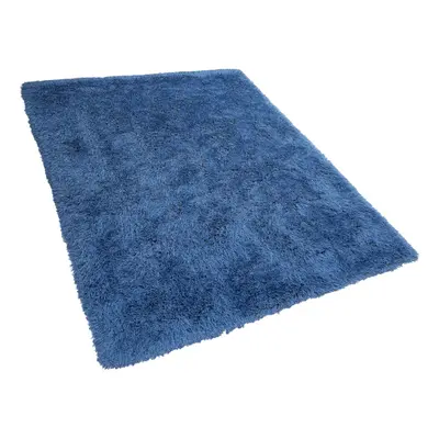 Shaggy Area Rug x cm Blue CIDE