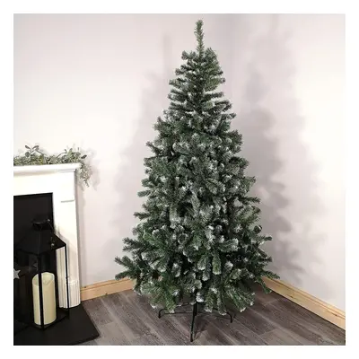 (Colorado Spruce Frosted Christmas Tree Green - 10ft/300cm) Colorado Spruce Frosted Christmas Tr