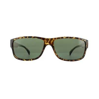 Timberland Sunglasses TB9064 52R Dark Havana Green