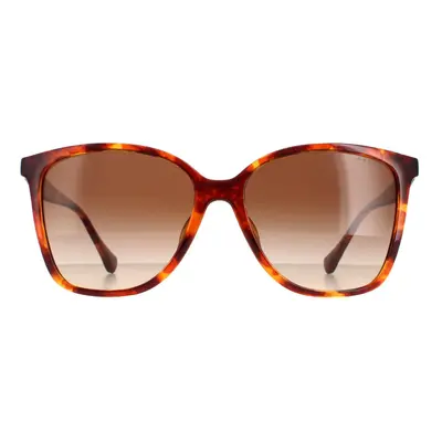 Ralph by Ralph Lauren Sunglasses RA5281U Shiny Havana Brown Gradient