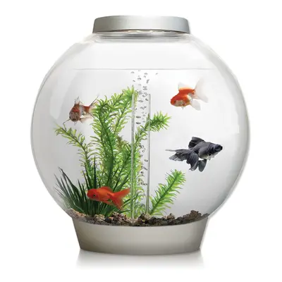 biOrb Classic 30L Aquarium in Silver with MCR LED Lighting and Heater Pack