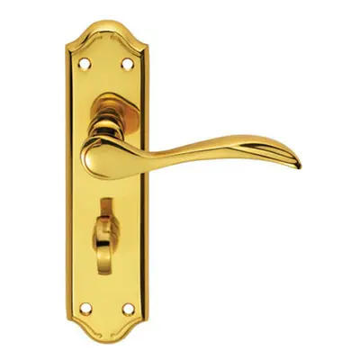 PAIR Curved Door Handle Lever on Bathroom Backplate x 45mm Polished Brass