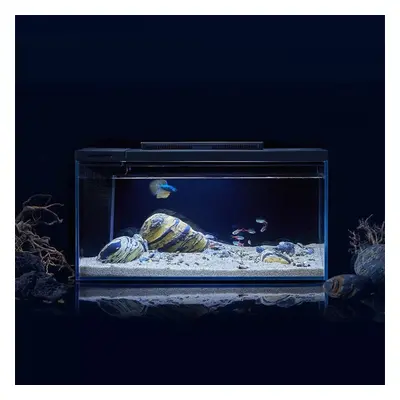 Intelligent Aquariums Smart Lighting System Filtration APP Control Fish Tank with HD Glass Body 