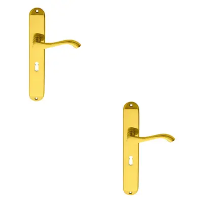 2x PAIR Curved Handle on Long Slim Lock Backplate x 40mm Polished Brass