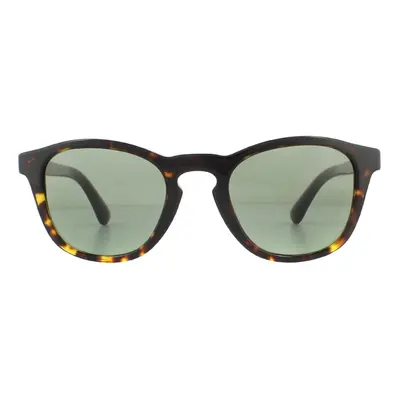 Giorgio Armani Sunglasses AR8112 5026/2 Havana Green