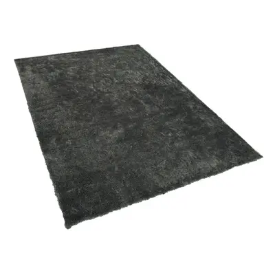 Shaggy Area Rug x cm Dark Grey EVREN