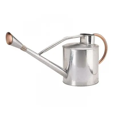 Large Durable Garden Long Reach Watering Can Litre, Galvanised Steel