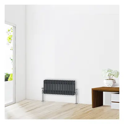 (300 x 830mm-2 Column) NRG Traditional Anthracite Cast Iron Style Radiator