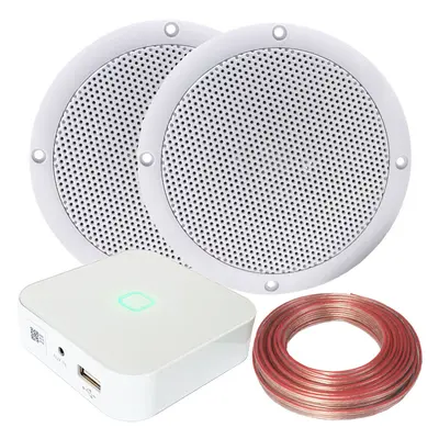 80W Mini WiFi Stereo Amplifier & 2x 80W Bathroom Ceiling Speaker Audio System