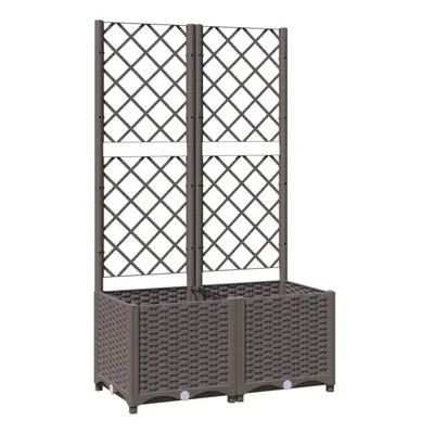 vidaXL Garden Planter with Trellis Brown PP Outdoor Raised Bed Flower Box