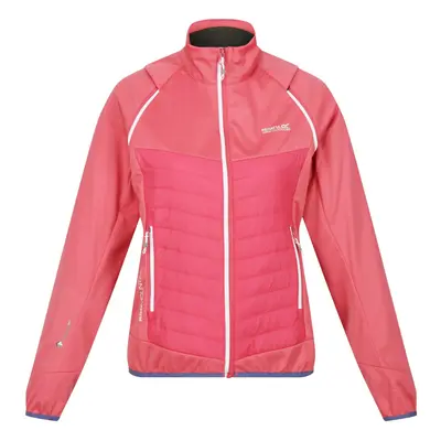 (16 UK, Fruit Dove) Regatta Womens/Ladies Steren Hybrid Jacket