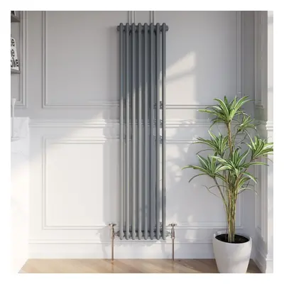 Traditional Vertical Colosseum Double Bar Column Radiator Anthracite 1600x380mm