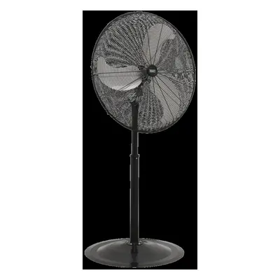 Industrial High Velocity Oscillating Pedestal Fan 30" 230V