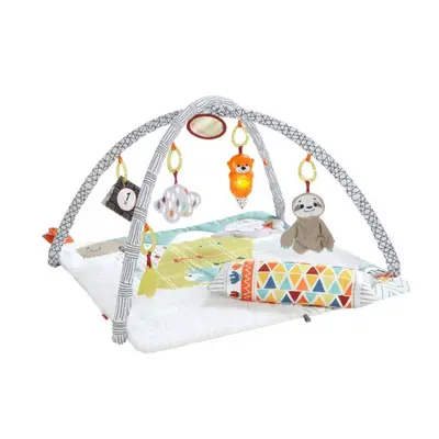 deluxe perfect sense baby gym cm