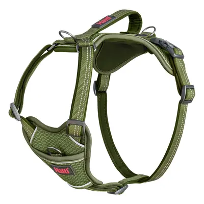 (M, Green) Halti Anatomy Dog Harness