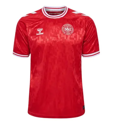 (2XL) Denmark Home Shirt 2024/25