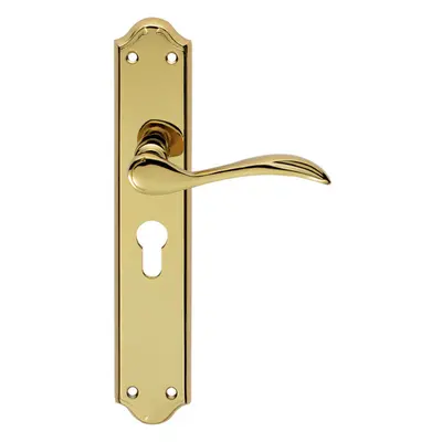 PAIR Curved Handle on Long Euro Lock Backplate x 45mm Stainless Brass