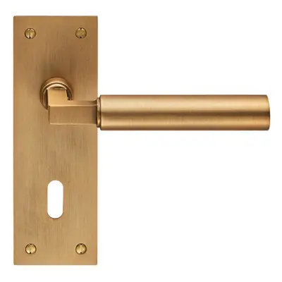 PAIR Round Bar Handle on Slim Lock Backplate x 50mm Antique Brass