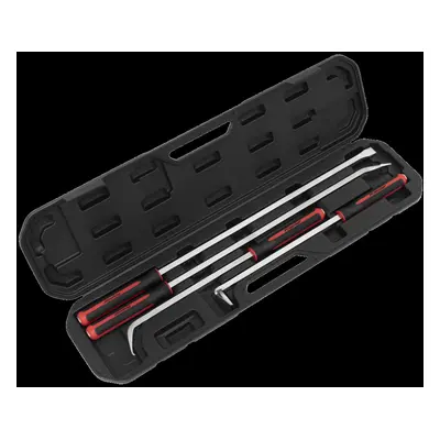 Pry Bar Set 4pc Heavy-Duty with Hammer Cap