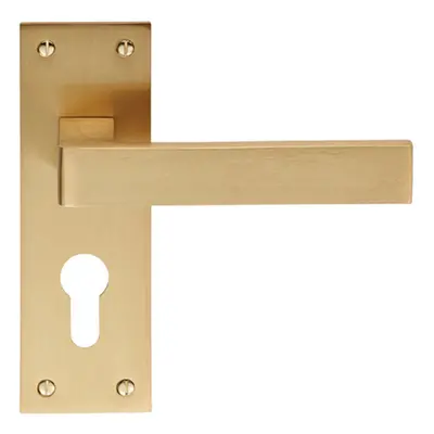 PAIR Straight Square Handle on Euro Lock Backplate x 50mm Satin Brass