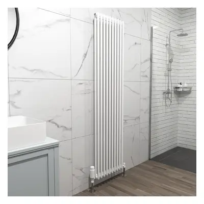 Nes Home X mm Double Column White Traditional Radiator